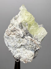 Load image into Gallery viewer, Vibrant Yellow Brucite Thumbnail Mineral Specimen | Collector Crystal from Killa Saifullah District in Balochistan Province, Pakistan