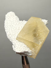 Load image into Gallery viewer, Rare Druzy Golden “Diamond” Calcite on Zeolite Matrix — Maharashtra, India | Collector Cabinet Specimen