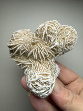 Load image into Gallery viewer, Desert Rose Selenite (Gypsum) — Mineral Display Specimen | Mexico