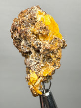 Load image into Gallery viewer, High-Grade Orange Wulfenite Collector Display Specimen | La Morita Mine, Chihuahua, Mexico