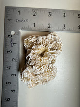 Load image into Gallery viewer, Desert Rose Selenite (Gypsum) — Mineral Display Specimen | Mexico