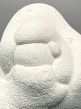 Load image into Gallery viewer, Chichaoua Menalite “Fairy Stone” Concretion | Natural Collector Display Specimen | Morocco