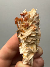 Load image into Gallery viewer, Natural Vanadinite on Matrix | Collector Mineral Specimen | Morocco