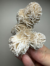 Load image into Gallery viewer, Desert Rose Selenite (Gypsum) — Mineral Display Specimen | Mexico