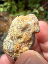 Load image into Gallery viewer, High-Grade Parallax Banded Laguna Agate – Bright Red & Yellow Crystal from Mexico