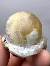 Load image into Gallery viewer, Rare Botryoidal Yellow Fluorite on Quartz Matrix Collector Mineral Specimen – Maharashtra, India