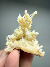 Load image into Gallery viewer, High-Grade Coral Aragonite Crystal Specimen – Wenshan Mine, Yunnan, China