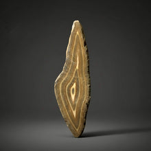 Load image into Gallery viewer, Stromatolite Fossil Slice | Ancient Microbial Reef Structure | Morocco