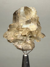 Load image into Gallery viewer, Smoky Quartz Crystal Specimen | Natural Collector Mineral – Brazil