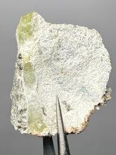 Load image into Gallery viewer, Vibrant Yellow Brucite Thumbnail Mineral Specimen | Collector Crystal from Killa Saifullah District in Balochistan Province, Pakistan