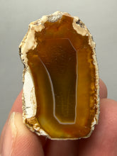Load image into Gallery viewer, Premium Sumatra Agate (Banded Chalcedony) Display Specimen | Indonesia