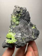 Load image into Gallery viewer, High-Grade Green Wavellite Collectors Specimen - Radiating Botryoidal Crystal Formation - Arkansas, USA