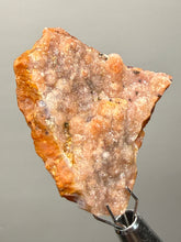 Load image into Gallery viewer, “Goblin Chalcedony” Pink and Red Druzy Botryoidal Stalactites — Tichka Massif, High Atlas, Morocco