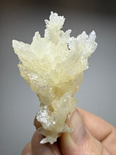 Load image into Gallery viewer, High-Grade Coral Aragonite Specimen | Wenshan Mine, Yunnan, China | Collector Mineral Display