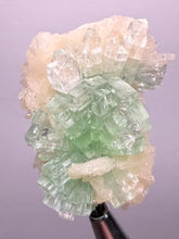 Load image into Gallery viewer, Green Radial “Disco Ball” Apophyllite | Maharashtra, India