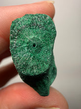 Load image into Gallery viewer, 3” Druzy Malachite Stalactites — Botryoidal Cave Formation | DR Congo | Collector Mineral Specimen