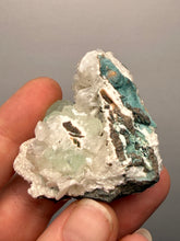 Load image into Gallery viewer, High-Grade Gemmy Green Apophyllite on White Stilbite | Deccan Traps, Maharashtra, India
