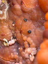 Load image into Gallery viewer, “Goblin Chalcedony” Pink & Orange Druzy Botryoidal Stalactites — Tichka Massif, High Atlas, Morocco