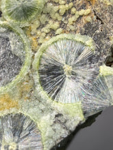Load image into Gallery viewer, High-Grade Green Wavellite Collectors Specimen - Radiating Botryoidal Crystal Formation - Arkansas, USA