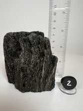 Load image into Gallery viewer, Black Druzy Petrified Wood from Indonesia