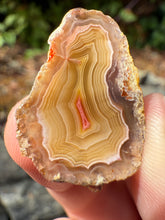 Load image into Gallery viewer, High-Grade Parallax Banded Laguna Agate – Bright Red & Yellow Crystal from Mexico