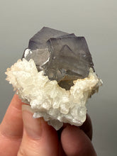 Load image into Gallery viewer, Isometric Fluorite & Scalenohedral Calcite Specimen | Pakistan Mineral Collector Display Piece