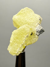Load image into Gallery viewer, Vibrant Yellow Brucite Thumbnail Mineral Specimen | Collector Crystal from Killa Saifullah District in Balochistan Province, Pakistan