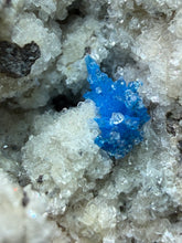 Load image into Gallery viewer, Rare Electric Blue Cavansite on Druzy Matrix – Collector Mineral Specimen | India