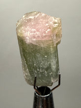 Load image into Gallery viewer, Raw Bi-Color Tourmaline Crystal Specimen | Ocean View Mine, Pala, California, USA