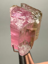 Load image into Gallery viewer, Raw Bi-Color Pink and Green Tourmaline Crystal Specimen | Ocean View Mine, Pala, California, USA