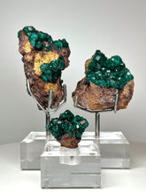 Load image into Gallery viewer, Dioptase Cluster from Congo • High Grade • Mineral Collector’s Specimen Showpiece