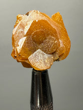 Load image into Gallery viewer, High-Grade Orange Wulfenite Collector Display Specimen | La Morita Mine, Chihuahua, Mexico