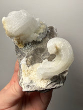 Load image into Gallery viewer, RARE COMBO Moroccan Ram’s Horn Selenite (Gypsum) with Yellow Botryoidal Fluorite Display Specimen