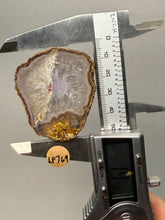 Load image into Gallery viewer, Natural Laguna Agate Collector Mineral Specimen | Chihuahua, Mexico
