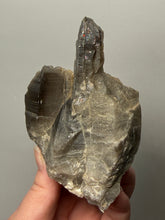 Load image into Gallery viewer, Natural Dark Smoky Quartz | Mineral Mountains UT | Raw Quartz Crystal Collector Specimen