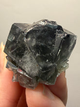 Load image into Gallery viewer, Rare Tenebrescent Color-Changing Cubic Fluorite | Hidden Forest Pocket — Diana Maria Mine, Frosterley, Weardale, County Durham, England
