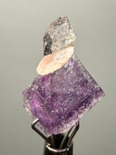 Load image into Gallery viewer, Rhodochrosite + Quartz on Purple Isometric Fluorite (Thumbnail Specimen) | Wutong Mine, China