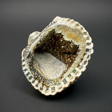 Load image into Gallery viewer, Bivalve (Pelecypoda) Fossil Sea Shell with Chalcopyrite | Mineralized Fossil Specimen | Indonesia