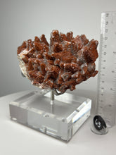 Load image into Gallery viewer, Red Phantom Pagoda Tower Calcite from Hubei Province, China • High Grade High Shine • Stand Included • Mineral Collector’s Showpiece