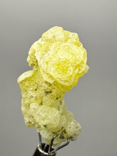 Load image into Gallery viewer, Vibrant Yellow Brucite Thumbnail Mineral Specimen | Collector Crystal from Killa Saifullah District in Balochistan Province, Pakistan