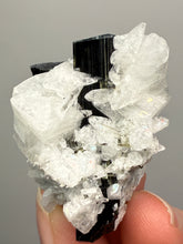 Load image into Gallery viewer, Blue Cap Dark Green Stak Nala Tourmaline With Pink Morganite on Cleavelandite Matrix – Haramosh Mountains, Pakistan