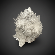 Load image into Gallery viewer, High-Grade Chrysanthemum Quartz (Needle Quartz) Spray Cluster | Jiangxi, China