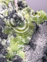 Load image into Gallery viewer, High-Grade Green Wavellite Collectors Specimen - Radiating Botryoidal Crystal Formation - Arkansas, USA