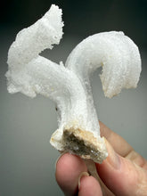 Load image into Gallery viewer, Moroccan Ram’s Horn Selenite (Gypsum) Crystal Display Specimen