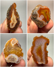Load image into Gallery viewer, Lot of 4 Small Malawi Agate Halves – Polished Rare Colorful Collector Specimens