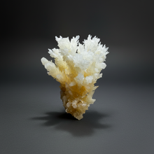 Load image into Gallery viewer, High-Grade Coral Aragonite Crystal Specimen – Wenshan Mine, Yunnan, China