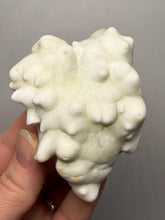 Load image into Gallery viewer, Superb White Flos Ferri Aragonite “Flower of Iron” Mineral Specimen | Lom Vitošov, Czech Republic