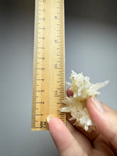 Load image into Gallery viewer, High-Grade Coral Aragonite Crystal Specimen – Wenshan Mine, Yunnan, China