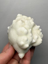 Load image into Gallery viewer, Superb White Flos Ferri Aragonite “Flower of Iron” Mineral Specimen | Lom Vitošov, Czech Republic