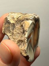 Load image into Gallery viewer, Premium Sumatra Agate (Banded Chalcedony) Display Specimen | Indonesia